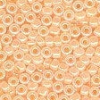 00148 Pale Peach Seed Beads