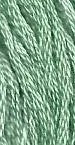 Silver Fern 0114