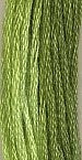 Spring Grass 0180