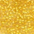 02105 Sweet Corn Seed Beads