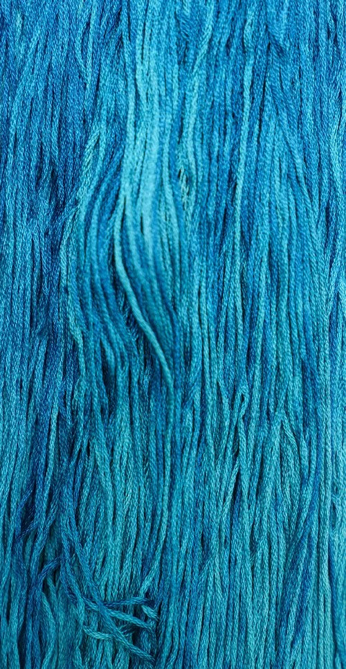 Cerulean 0294