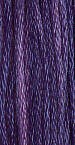 Purple Iris 0810