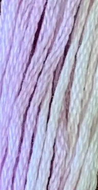 Wisteria 0811