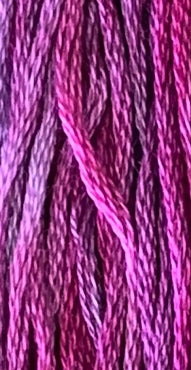 Dragon Fruit 0895