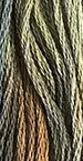 Tortoise Shell 1194
