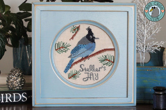 Bird Crush Club 1-Steller's Jay