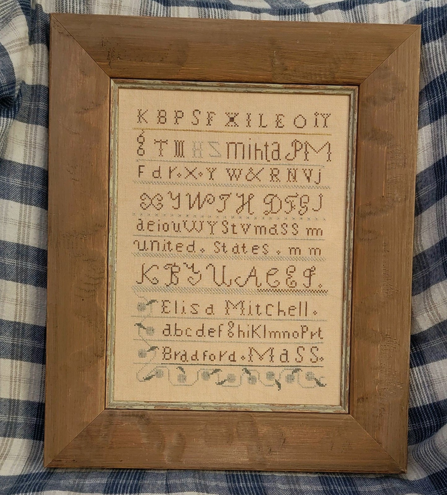 Elisa Mitchell