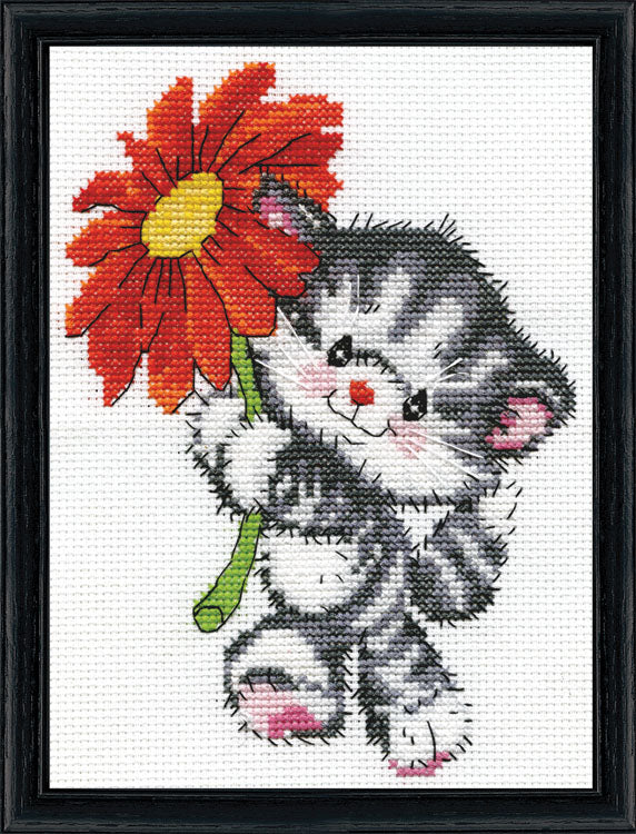 Red Daisy Kitten Kit