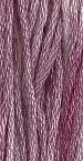 Sweet Pea 7031