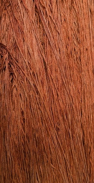 Chestnut 7106