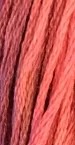 Coral Reef 0591