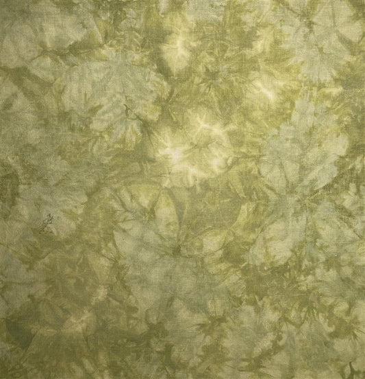 Pistachio - 14 Hand Dyed Aida - Atomic Ranch Fabrics