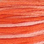 106 Variegated Coral- 6 Strand Floss