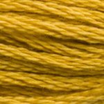 3852 Straw Very Dark- 6 Strand Floss