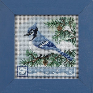 Blue Jay