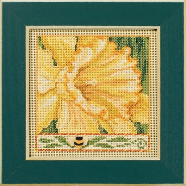 Daffodil