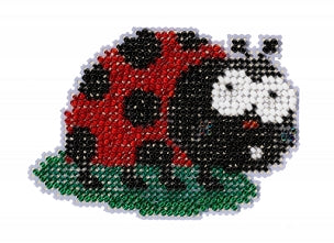 Ladybug