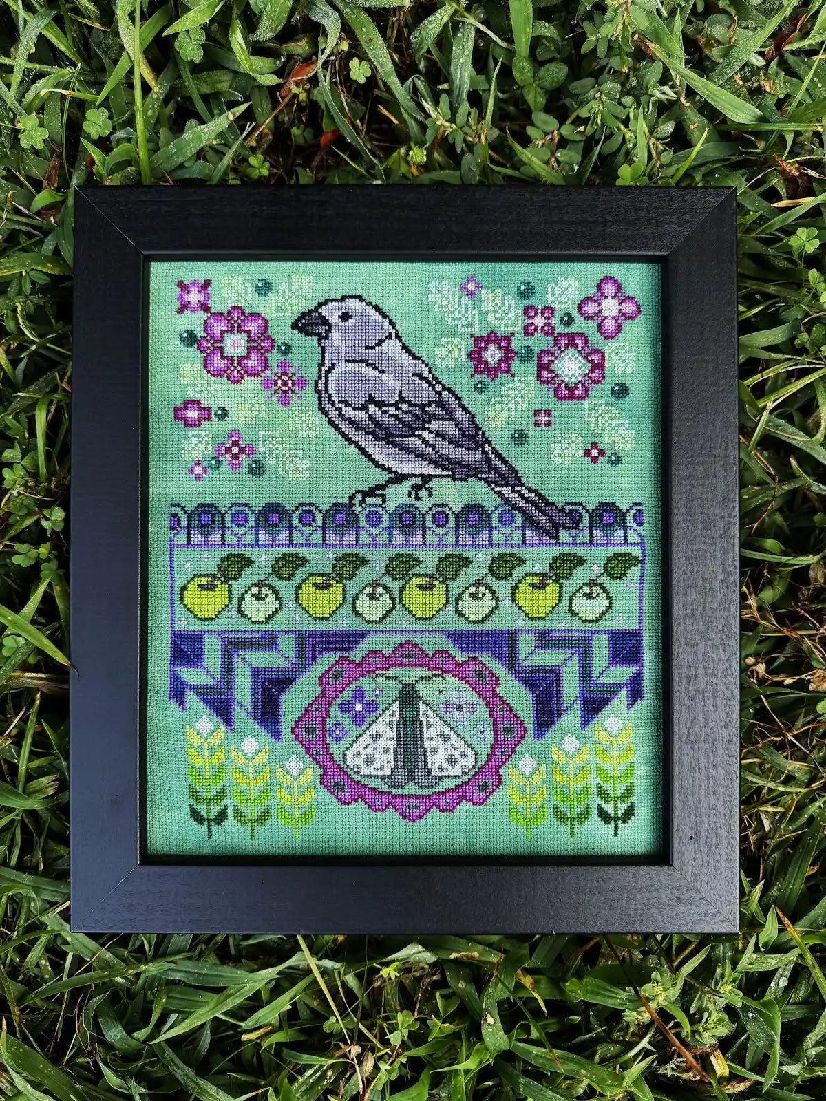 Midsummer Finch
