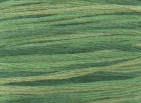 4045 Evergreen Forest - Color Variations Floss