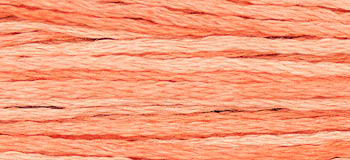 Cantaloupe 2243