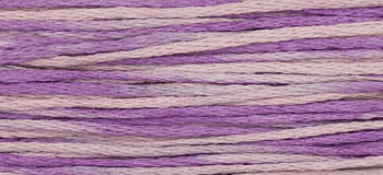 Sweet Pea 2296