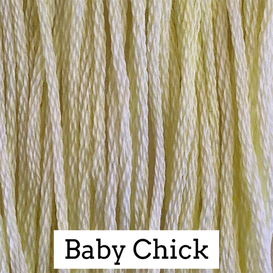 Baby Chick 002