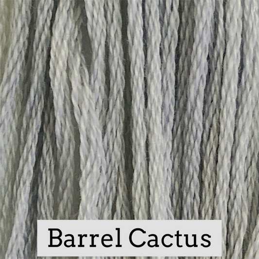 Barrel Cactus 031