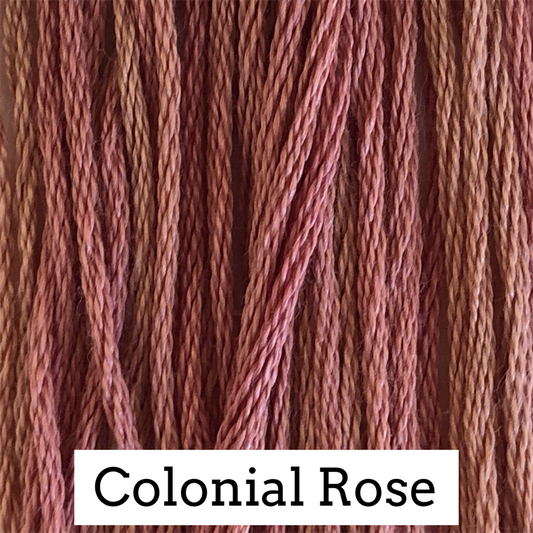 Colonial Rose 247