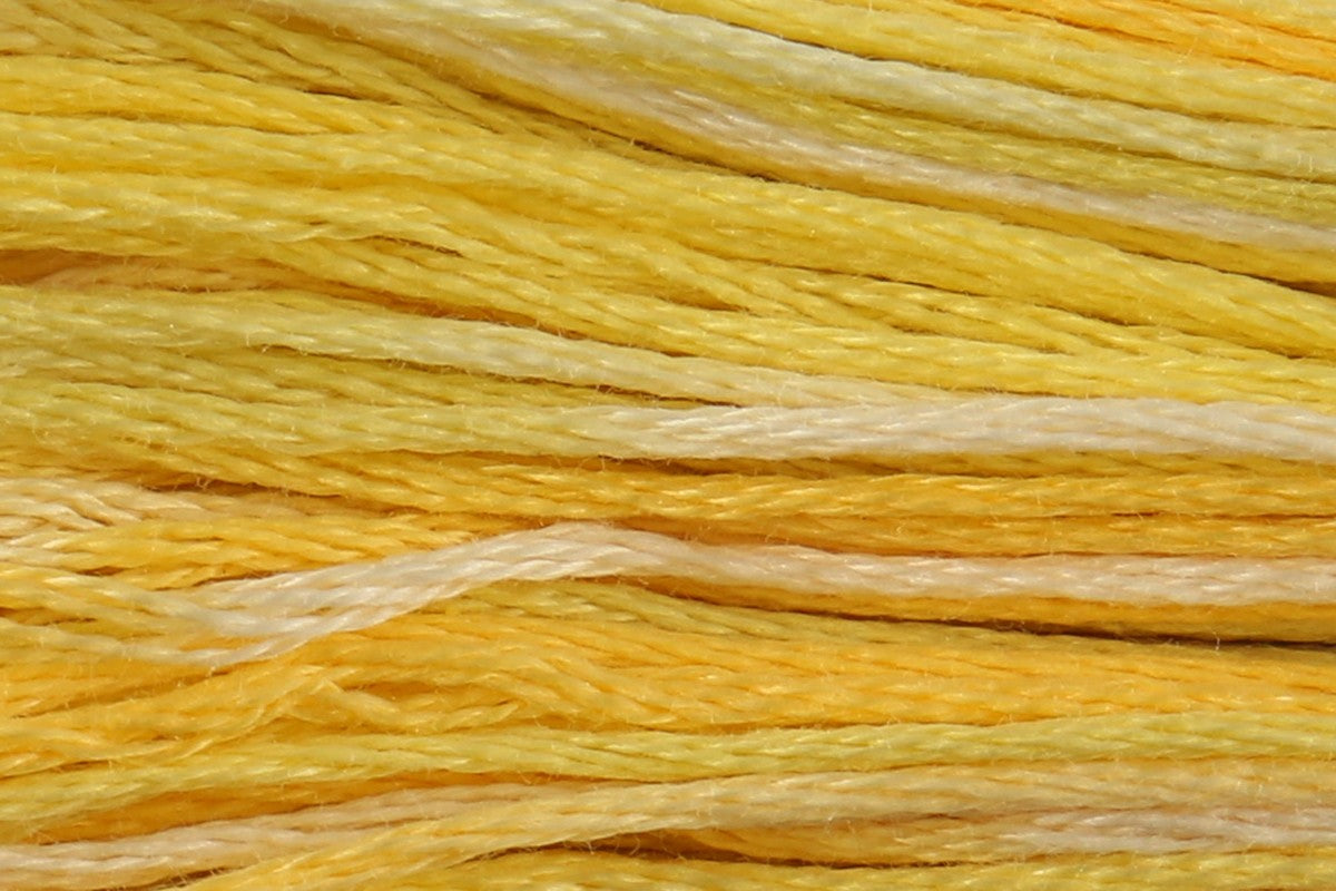 4080 Daffodil Fields - Color Variations Floss