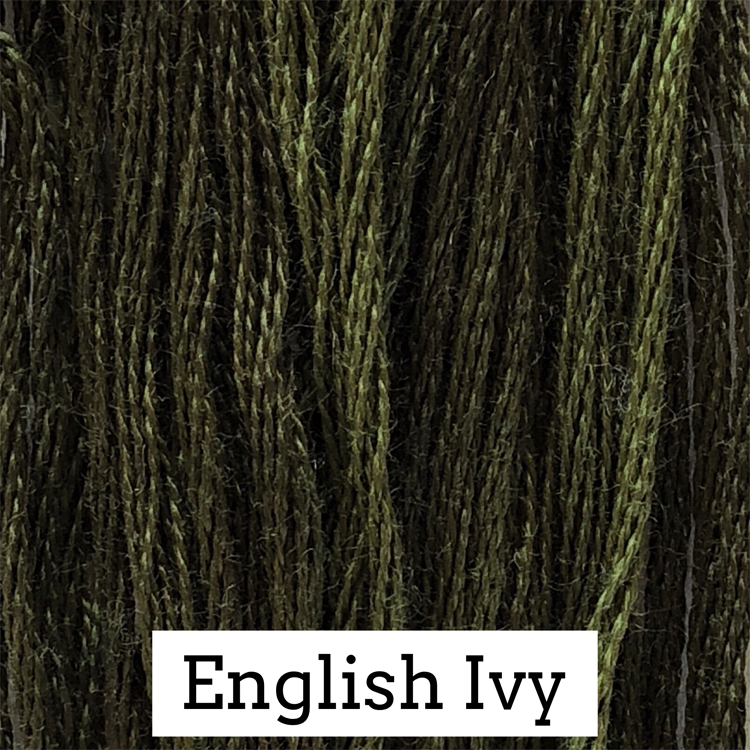 English Ivy 179