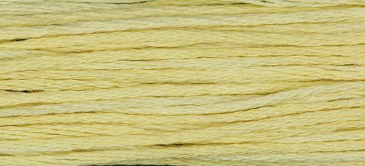 Goldenrod 1118