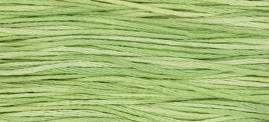 Wasabi 1120