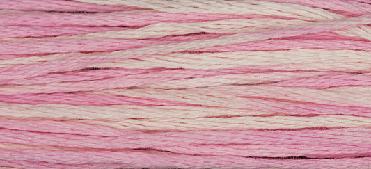 Sophia's Pink 1138