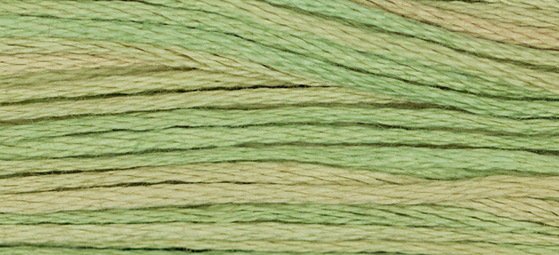 Butter Bean 1189
