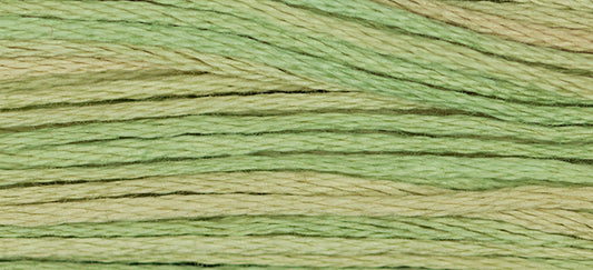 Butter Bean 1189