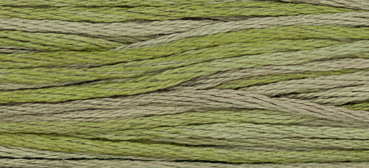 Thyme 1256