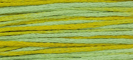 Pistachio 2206