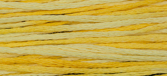 Sally's Sunshine 2218