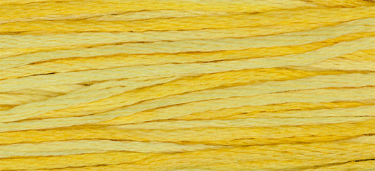 Saffron 2223