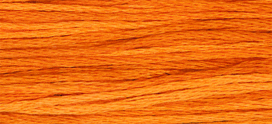Pumpkin 2228