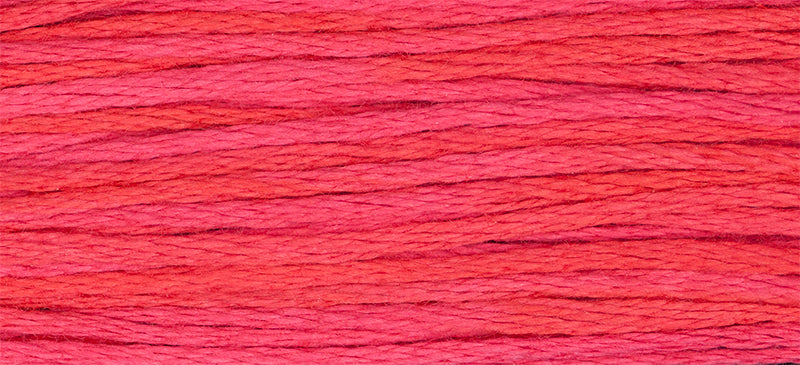 Watermelon Punch 2262