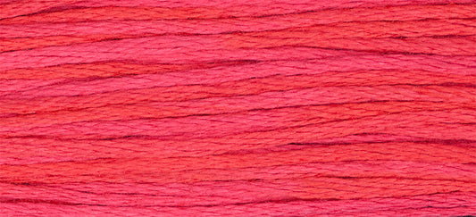 Watermelon Punch 2262
