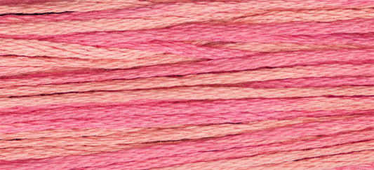 Peony 2271