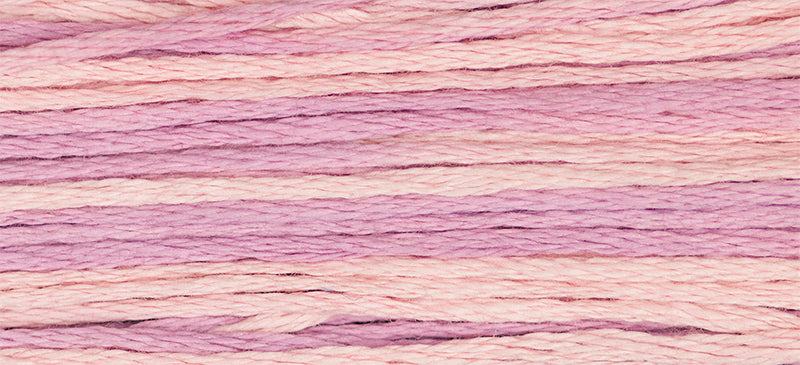 Sweetheart Rose 2279