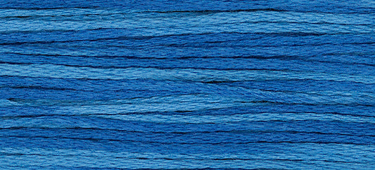 Blue Bonnet 2339