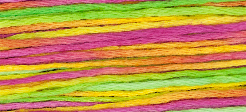 Calypso 4143