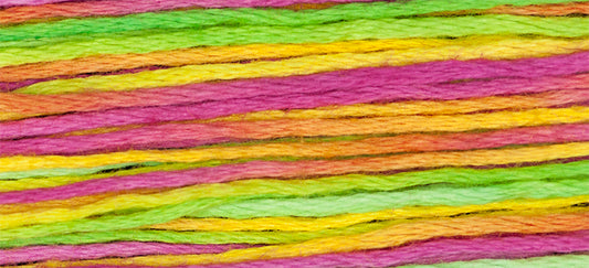 Calypso 4143