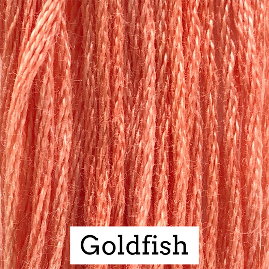 Goldfish 015