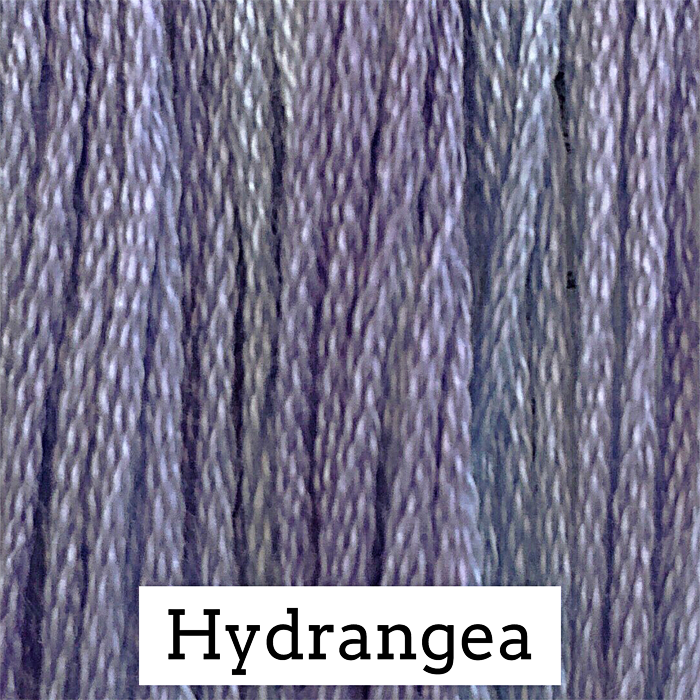 Hydrangea 018