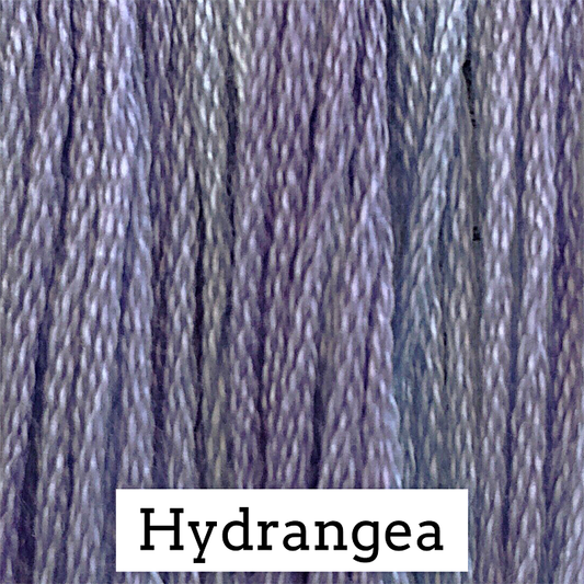Hydrangea 018